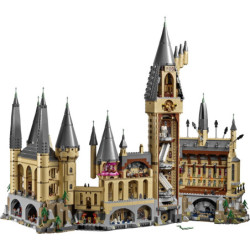 LEGO® Harry Potter™ Harry Potter Hogwarts Castle (71043) | Sunland Bricks NZ