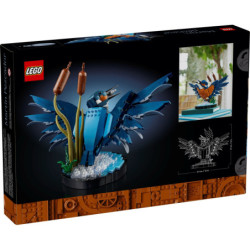 LEGO® Icons Kingfisher Bird (10331) | Sunland Bricks NZ