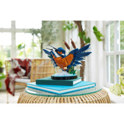 LEGO® Icons Kingfisher Bird (10331) | Sunland Bricks NZ